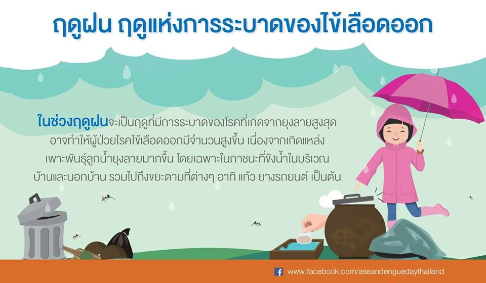 วิธีในการรับมือกับลูกน้ำยุงลาย ช่วงฤดูฝน ฤดูแห่งการระบาดของไข้เลือดออก