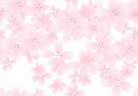 ซากุระ 200