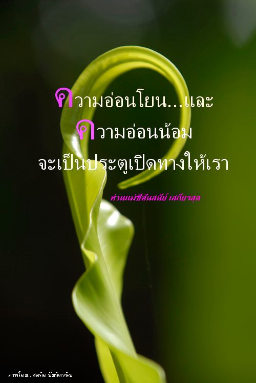 รวม คำคม - ข้อคิดดีๆ จาก เสถียรธรรมสถาน