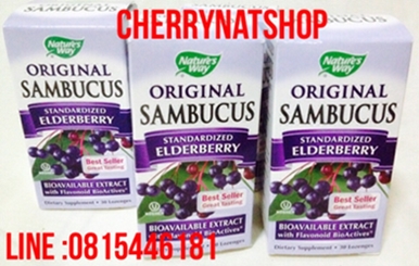 cherrynatshopนำเข้าวิตามินสกัดจากผลElderberry  Nature'sWay Original Sambucus Standardized Elderberry 30 Lozenges วิตามินแก้หวัด  เจ็บคอชนิดอมสำหรับเด็กและผู้ใหญ่ รสชาติอร่อย  ช่วยแก้หวัด คัดจมูก ให้รสหวานธรรมชาติเหมือนองุ่นๆเหมือนเบอร์รี่ๆอร่อย  ดีค่ะ กินง่ายมากๆ  วิตามินElderberryเสริมสร้างภูมิต้านทาน และยังฆ่าเชื้อไวรัสในระยะเริ่มต้นได้ 