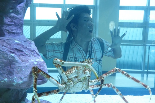 โอ้วว ปูอลาสก้า น่ากินดีแหะ