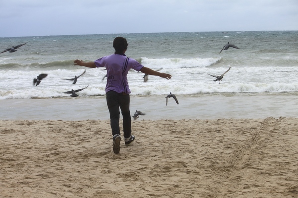 ♪ ฉันจะบินบินไปให้ถึงดวงจันทร์ ♪