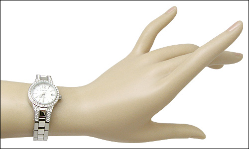 Fossil Women's AM4192