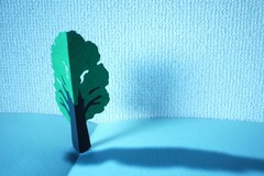 ,http://upic.me/i/3b/c16c08c0-s.jpg 伝えたかったこと http://mariya.vision-blog.jp/archives/1667628.html