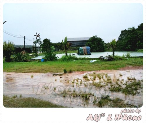 บ้านน้ำท่วม lol