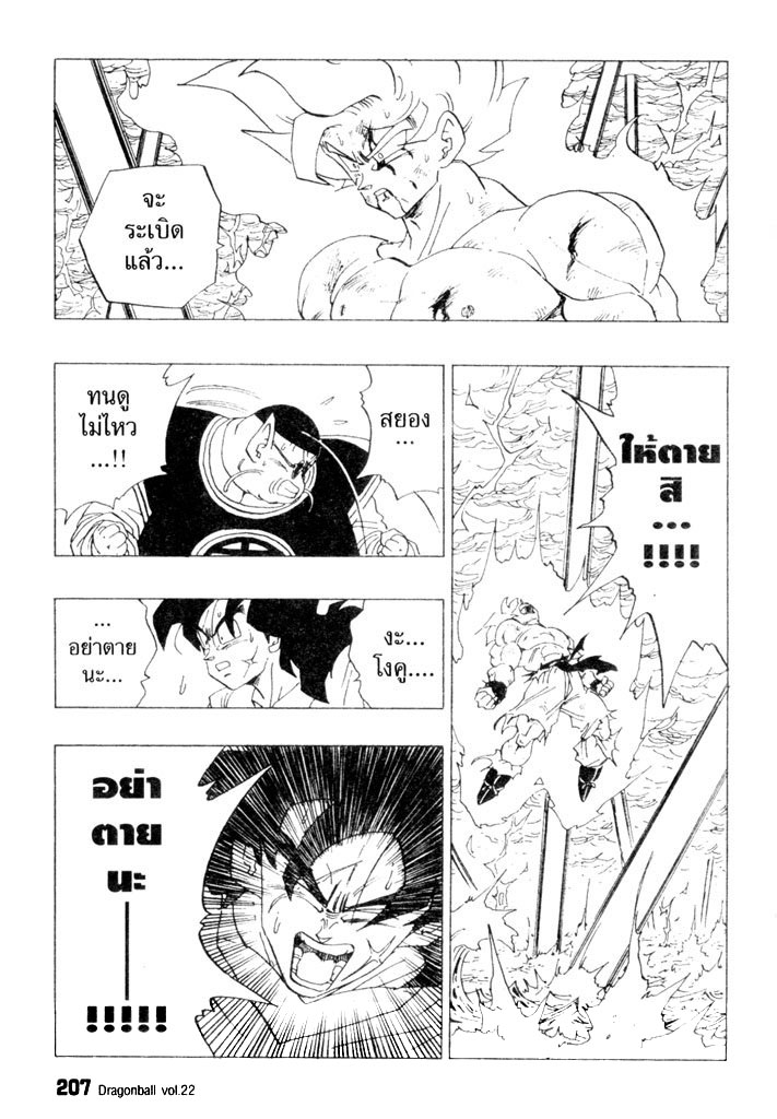 Dragon Ball - หน้า 204