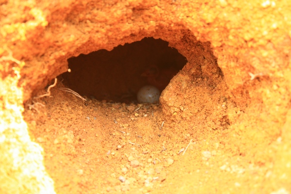 ตามติดชีวิต 'ลูกนก' part 3 : สภาพความเป็นอยู่ภายใน