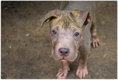 quick post