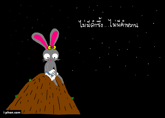 rabbit2