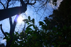 このブログを見てくれている皆さんへ http://mariya.vision-blog.jp/archives/1662486.html