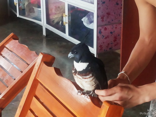 ฝากรูป