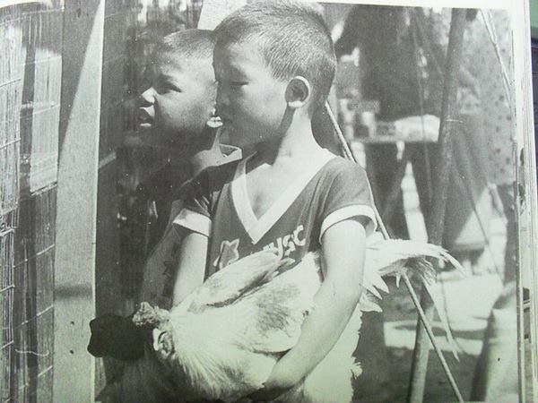 ฝากรูป