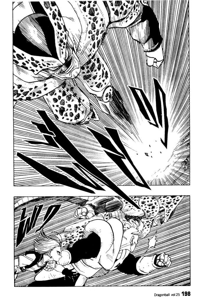 Dragon Ball - หน้า 200