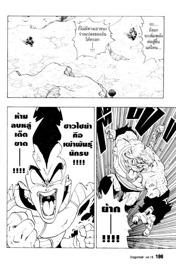 Dragon Ball - หน้า 205