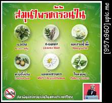 สี่งที่ควรทําเมื่อเกิดแผลร้อนใน