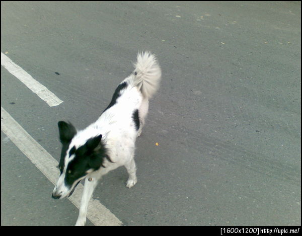 ไอ้ตู้เย็นสะอาดมาก! ใครอาบน้ำให้มันเนี่ย