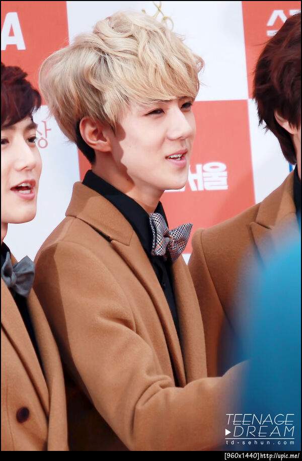 [Pic] 130131 Sehun - Seoul Music Awards [Teenage Dream] 17P