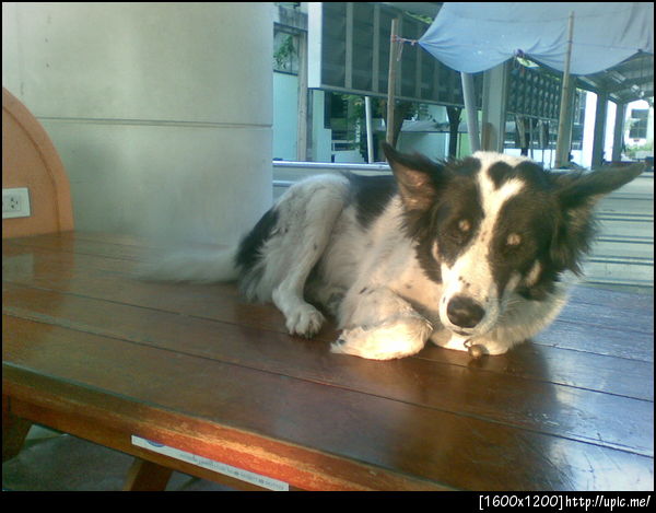 ตู้เย็นยามเย็น