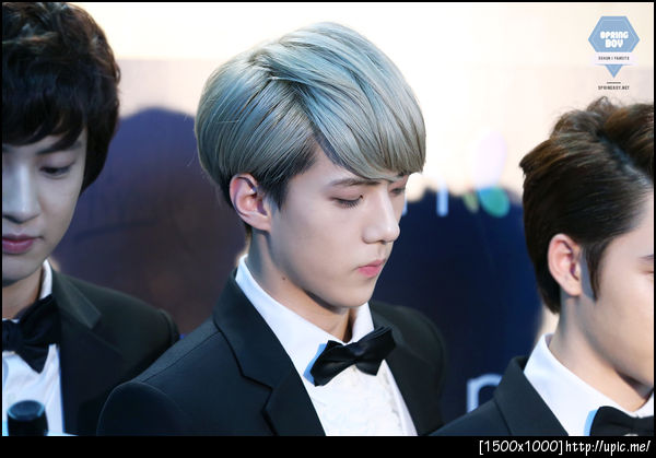 [Pic] 130115 Sehun at Golden Disk Award [SPRING BOY] 10P