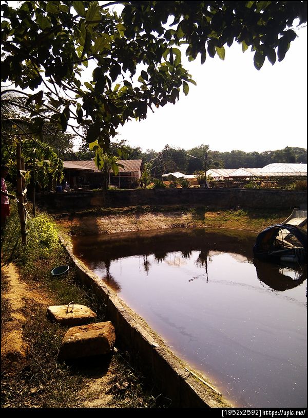 บ้านของฉัน