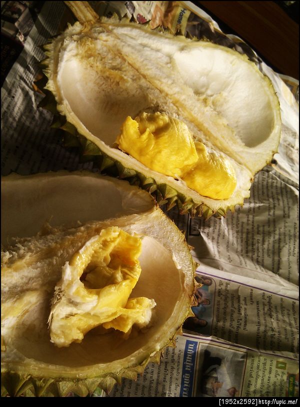 หน้าร้อนก็ต้องทุเรียน ! (ขออภัยหากมีกลิ่นรบกวน TL)