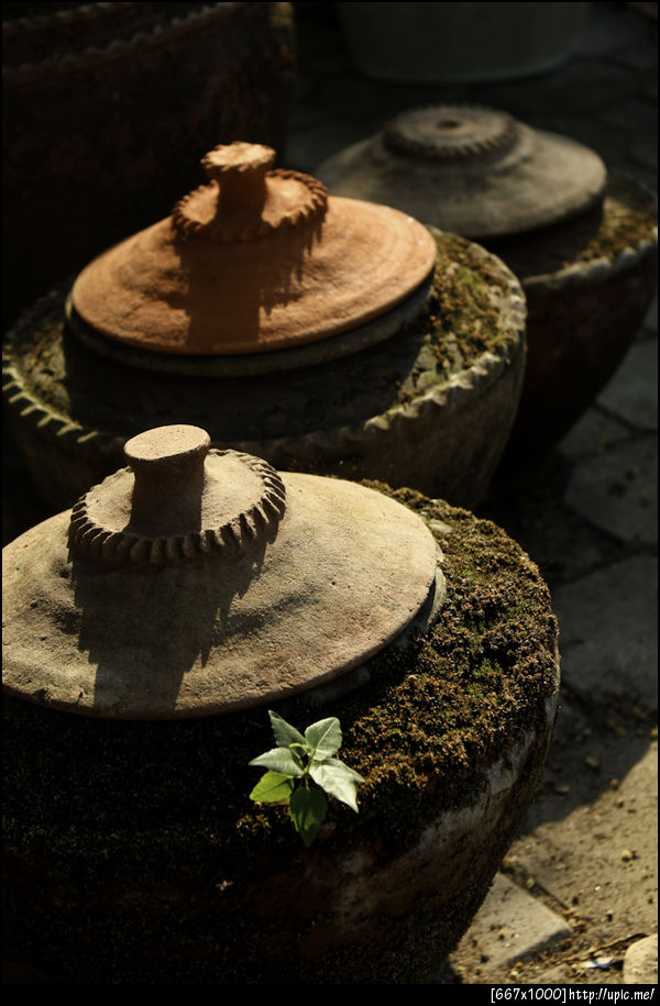 หม้อน้ำ