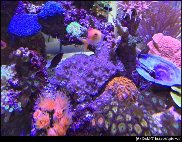 ภาพด้านหน้า