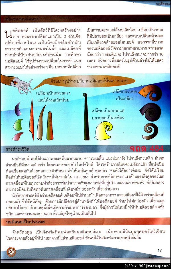 484นอติลอยด์