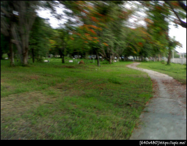 สวนสุขภาพ ร.๙