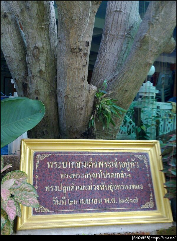 ฝากรูป