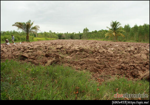 quick post