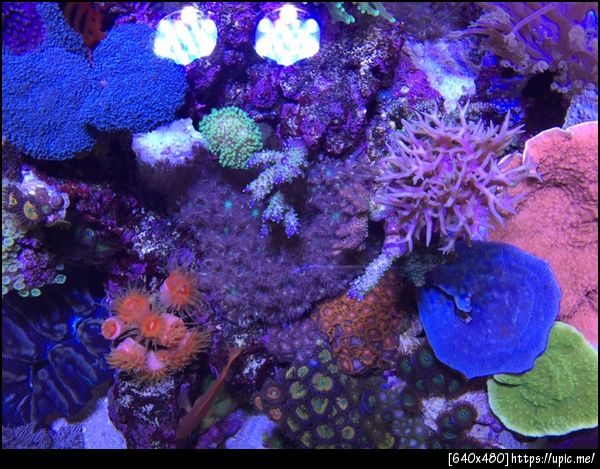 ภาพมุมบน