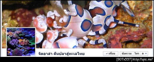 ฝากรูป