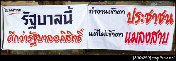 เพื่อไทย..ดีกว่าแมลงสาบ
