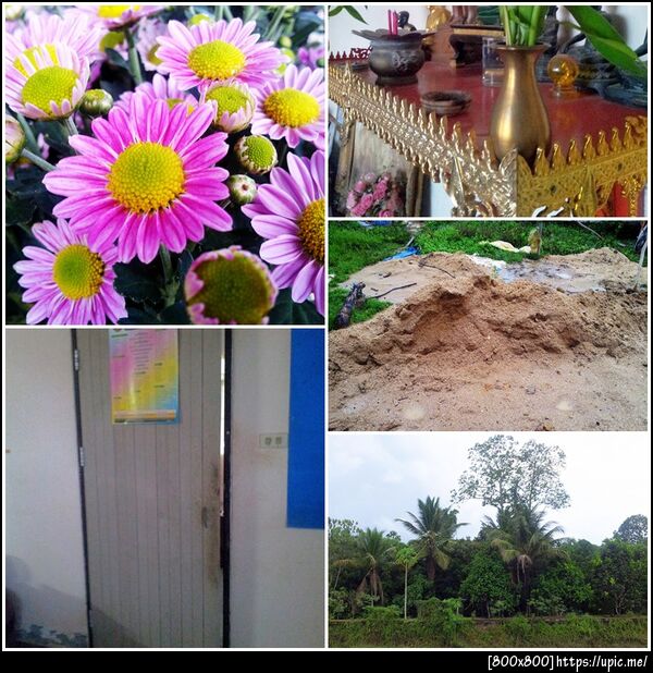 ดอกไม้ประตูแจกันดินทรายต้นไม้ใหญ่ ~*