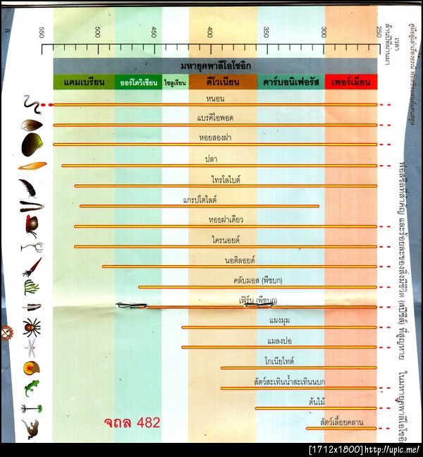 482ธรณีกาล