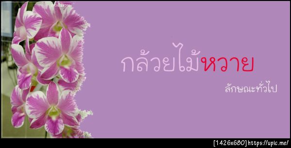 ฝากรูป