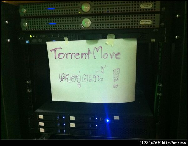 update ข่าว torrentmove ล่าสุด