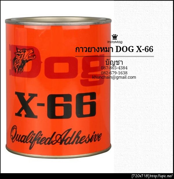 กาวหมา คุณบัญชา