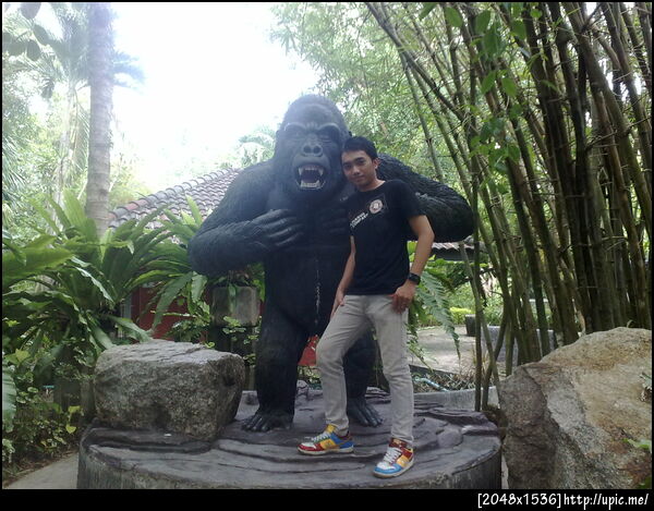 เอ๊า !! เจอเพื่อนซะงั้น