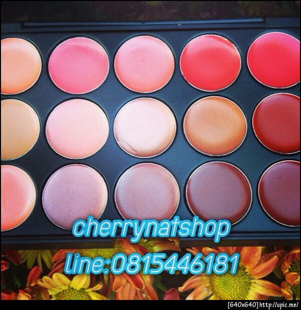 cherrynashopจำหน่ายพาเลทอายแชโดซ์120สีสวยๆ,พาเลทอายแชโดว์สำหรับช่างmakeup,eyeshadow78สีครบทุกอย่างในพาเลทอย่าง,cherrynatshopขายพาเลทคอนซีลเลอร์15สีขั้นเทพ