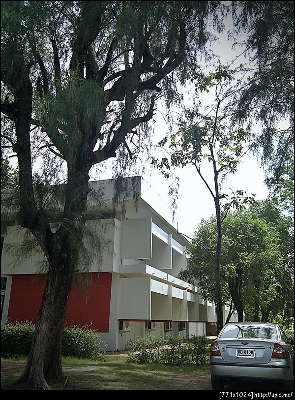 ♪ ร่มเงาจากใต้สน ยังส่งความรู้สึก ให้เราได้รำลึกถึงเรื่องราวในวันวาน ♪ #backtoschool