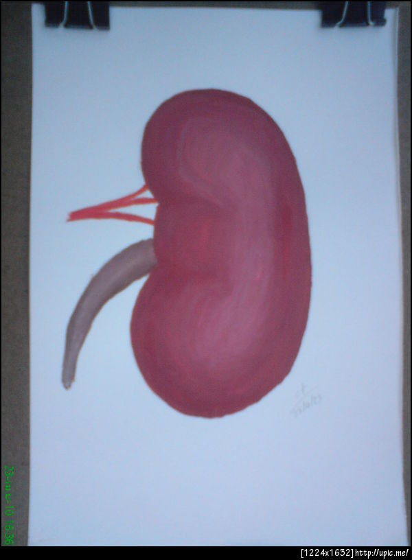 ลูกผู้ชาย ไตเกินร้อย (ไม่ได้พิมพ์ผิด)