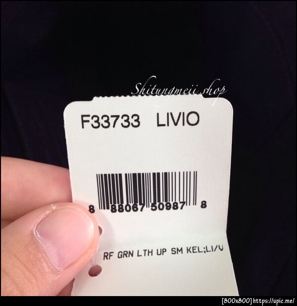 33733 VIOLET3
