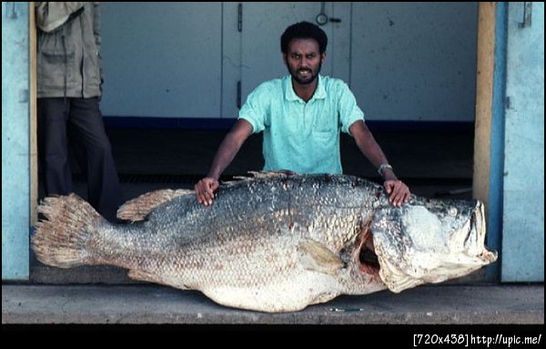 ก็แค่อยากให้ผู้หญิงเข้าใจ ว่าทำไมผู้ชายต้องจับปลาสองมือ !!!!