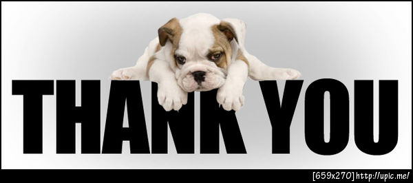 Thank You Dog
