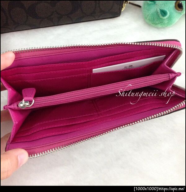 49964 FUCHSIA2