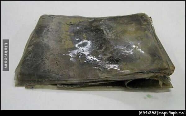 นี่คือฟิล์มเก่าแก่อายุ 100 ปี ที่ถูกค้นพบในกระท่อมที่แอนตาร์กติกา