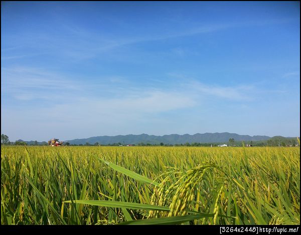 ถ่ายจาก Galaxy Grand DUOS โหมดทิวทัศน์กลางแดดเปรี้ยงตอนกลางวัน