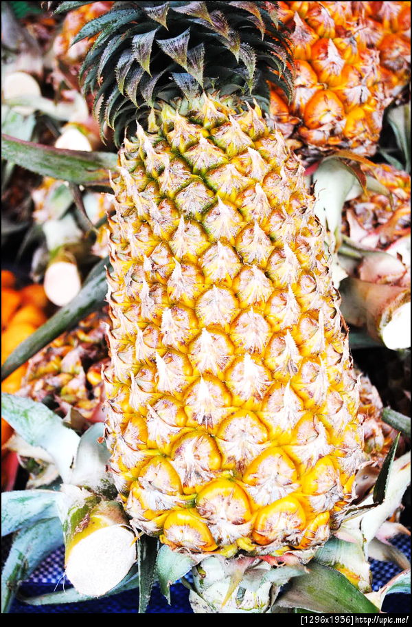 436-1ยานัด